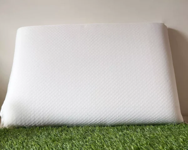 Lexo Memory Foam Pillow